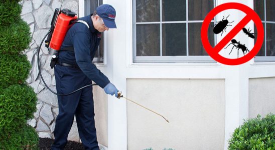 Tefenni Böcek İlaçlama böcek ilaçlama ve haşere kontrolü — ilaclama-tr.com
